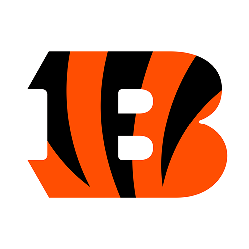 CIN logo
