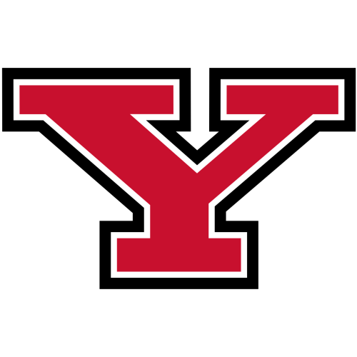 Youngstown State Penguins logo